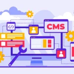 cms development company