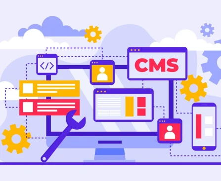 cms development company